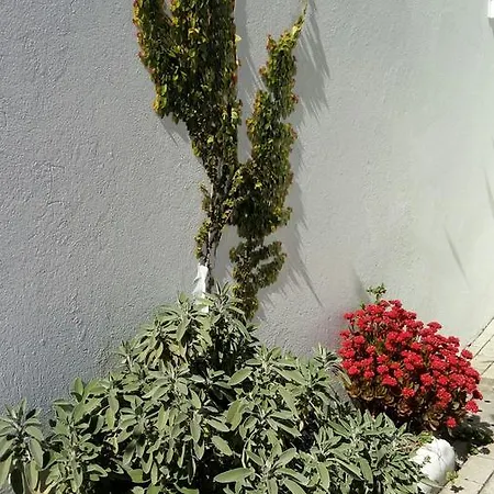 Norte Hospedagem Lages Exterior foto