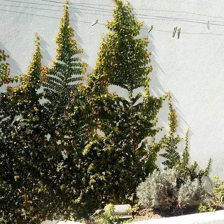 Norte Hospedagem Lages Exterior foto